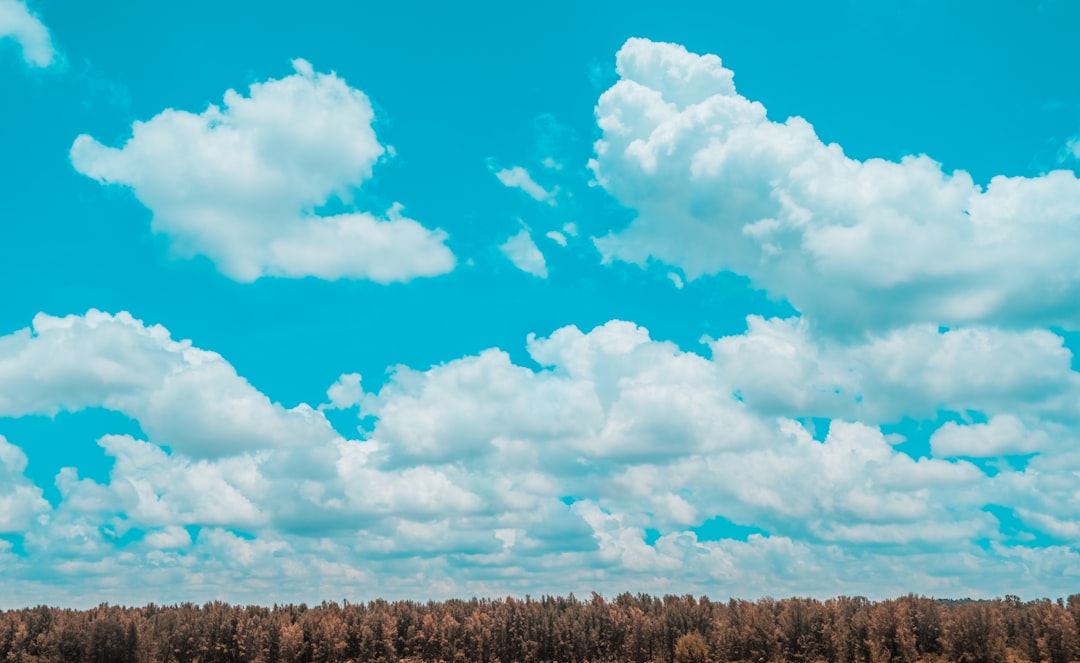 Cloud