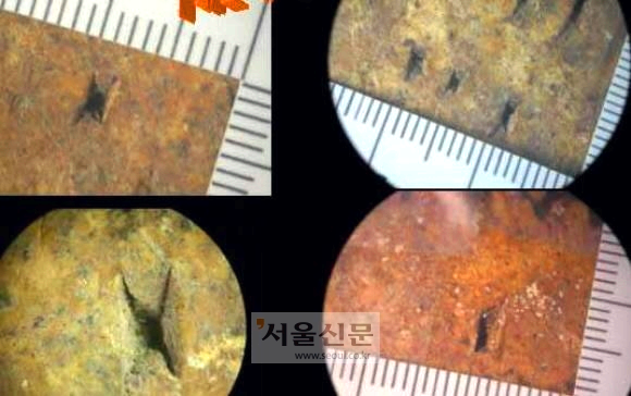 개구리소년들의 타살 추정에 중요한 근거로 제시된 우철원군 머리의 외상