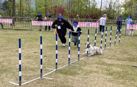 반려동물 배움의날