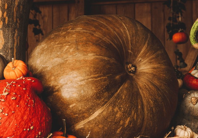 위에 좋은 음식