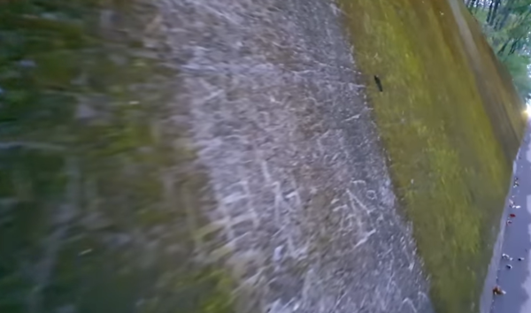 혼자만알고싶은여행지