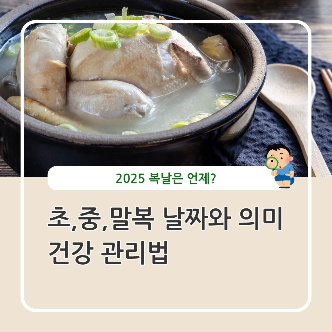 2025 복날 초복 중복 말복 날짜 보양식 건강관리