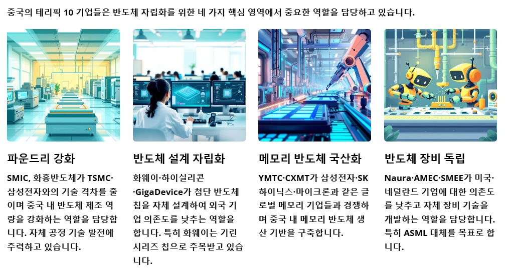 중국 테라픽10의 주요역할과 목표