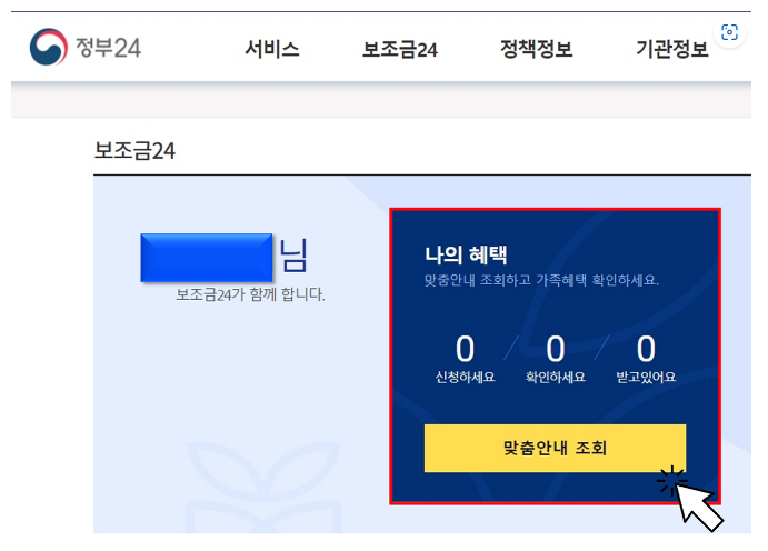 정부보조금