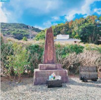 부산 대마도 배편 예약하기 관련 사진