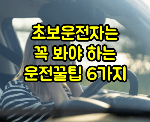 초보운전 꿀팁