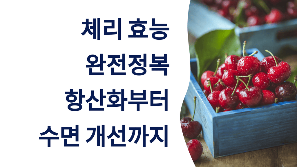 체리 효능 완전정복: 항산화부터 수면 개선까지