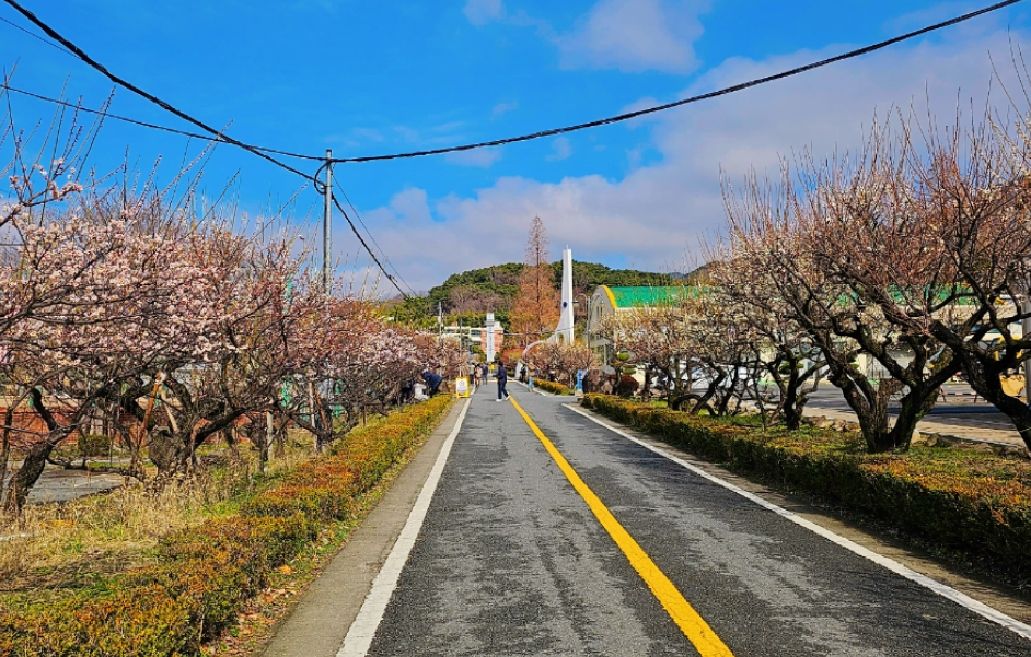 김해 김해건설공업고등학교