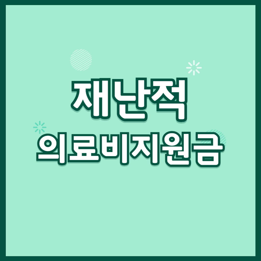 재난적 의료비지원금