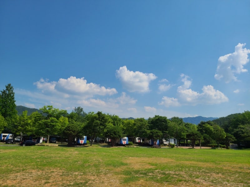 곡성 도림사오토캠핑장 소개