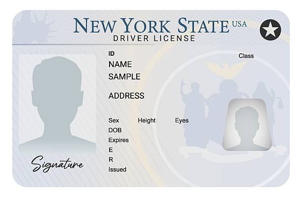 운전면허증-분실-신고방법