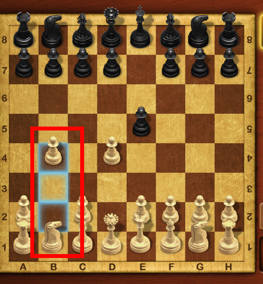 체스 게임 규칙