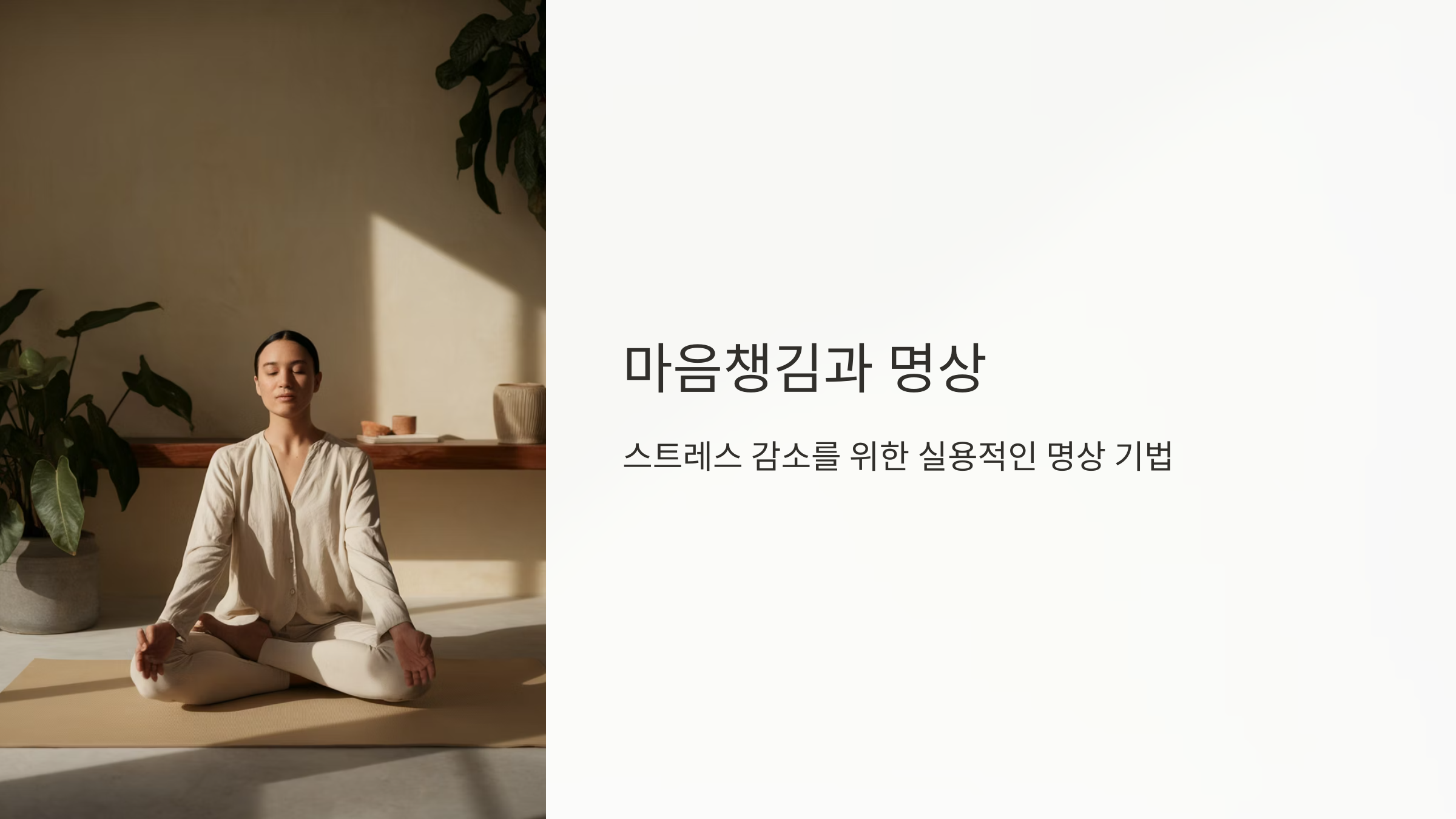 마음챙김과 명상