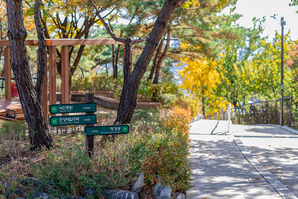 혜화문
성북동
한양도성길
백악구간
서울여행
서울단풍
가을단풍
단풍
성벽
와룡공원