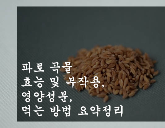 파로 곡물 효능 및 부작용&#44; 영양성분&#44; 먹는 방법 요약정리