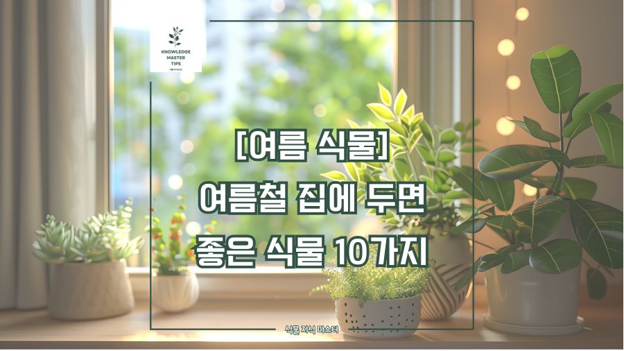 여름 식물, 여름철 집에 두면 좋은 식물 10가지