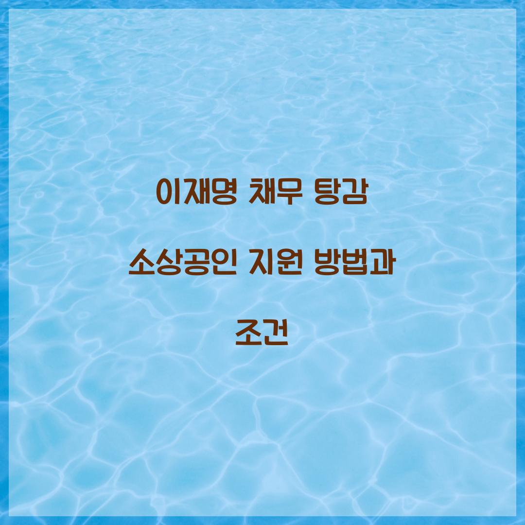 이재명 채무 탕감