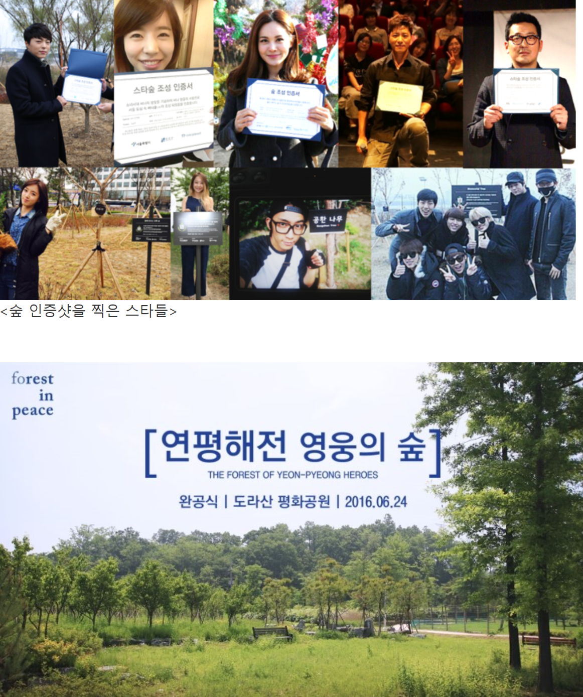 스타 숲, 연평해전 영웅의 숲