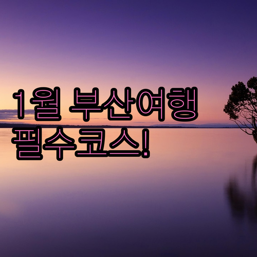 1월 부산 여행지 추천 사하구 다대포..