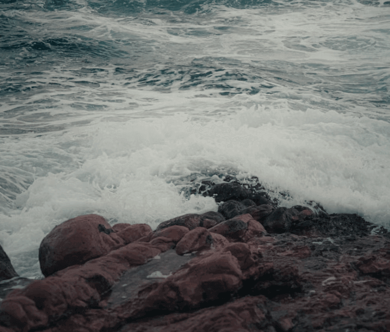 5월 바다 밥상 이벤트 신청하기