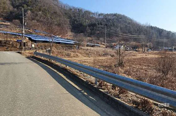 무궁화수목원