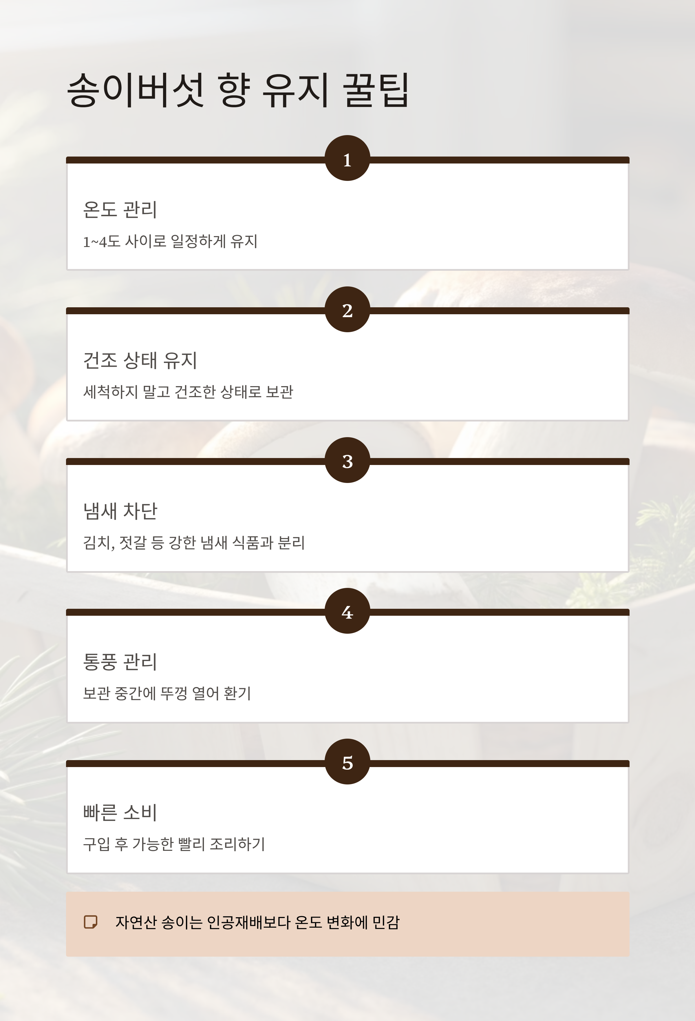 자연산 송이버섯 보관법 완벽정리|향과 식감 그대로 오래 보관하는 비결