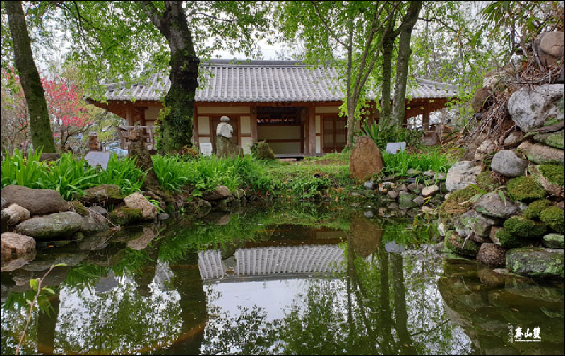 생방송투데이 스카이바이크&#44; 쌍산재&#44; 향나무숲