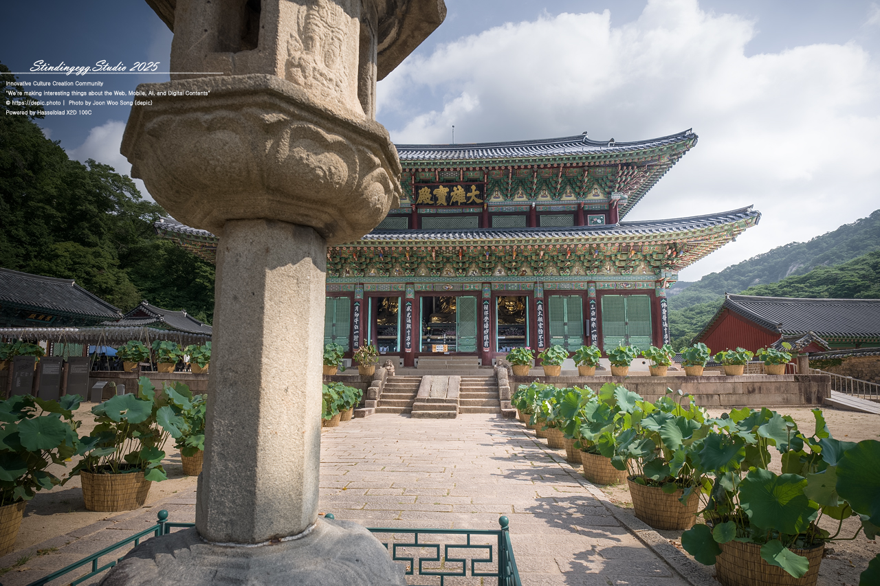 #보은 #속리산 #법주사 #사찰 #불교