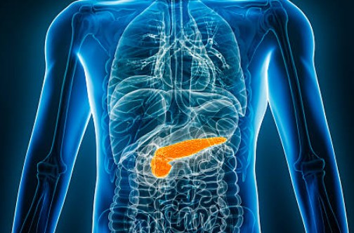 췌장암 검사방법