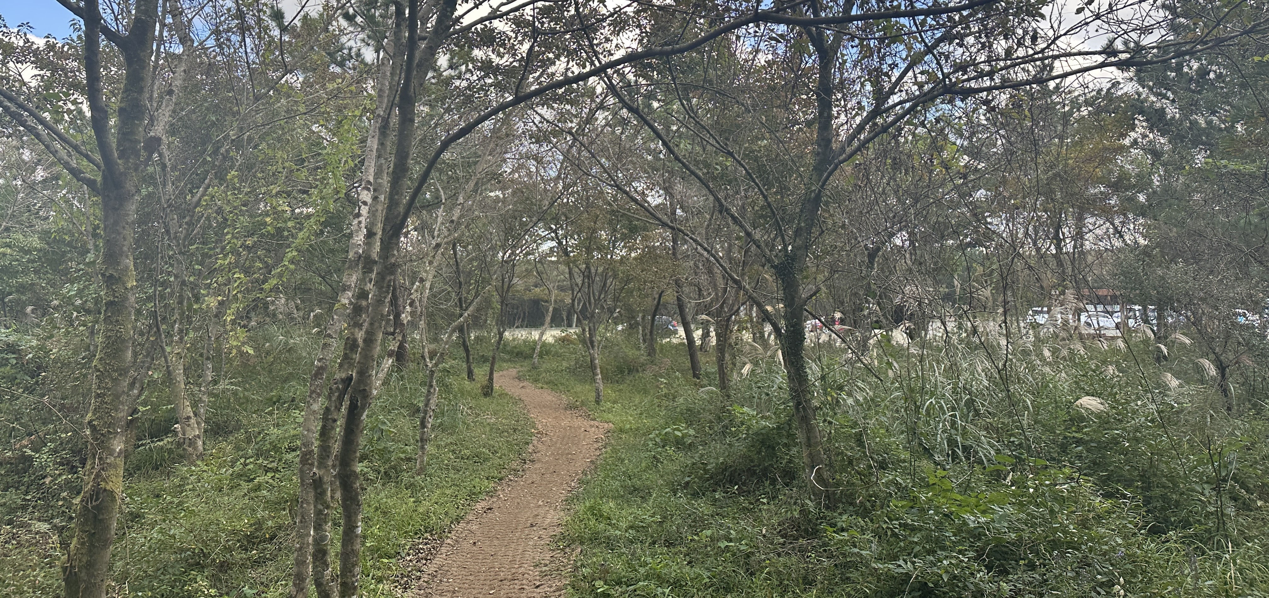 봉개동 민오름 정상