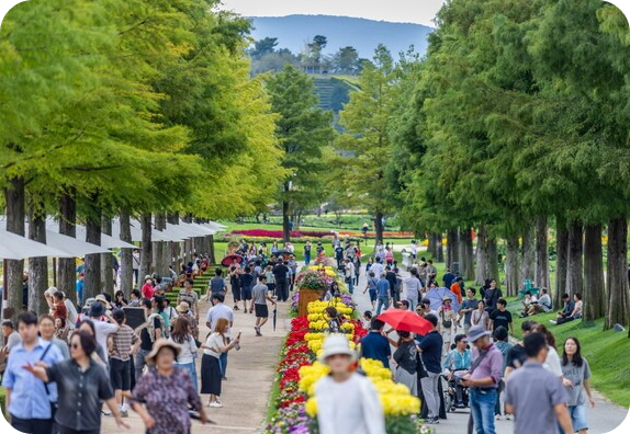 순천만국가정원 낙우송길 관람객들 [사진 : 순천시 제공]
