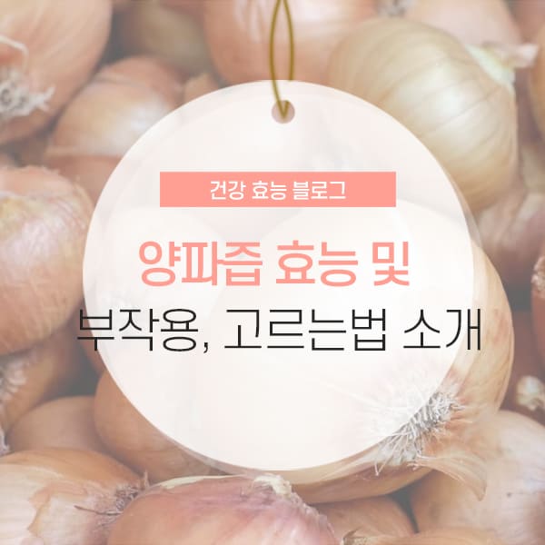 양파즙 효능 양파즙 효능 및 부작용 소개 콘텐츠