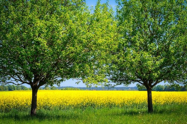 태국 평균 월급 노동자 공무원 직장인