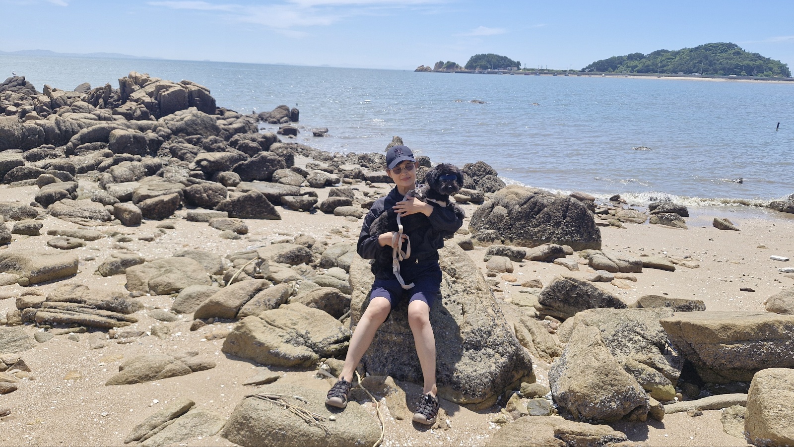 강아지 호텔,미용실,유치원다녀 온후 기침,구역질 하면 병원 가야 하나요 ? [켄넬코프 상기도 기관지염]