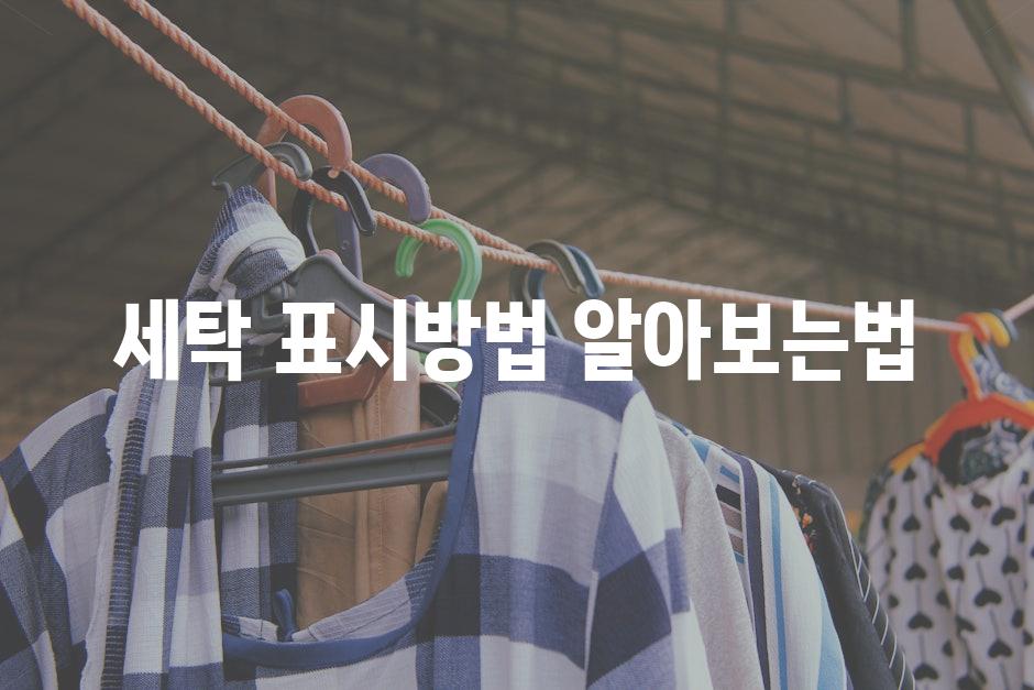 Laundry 3