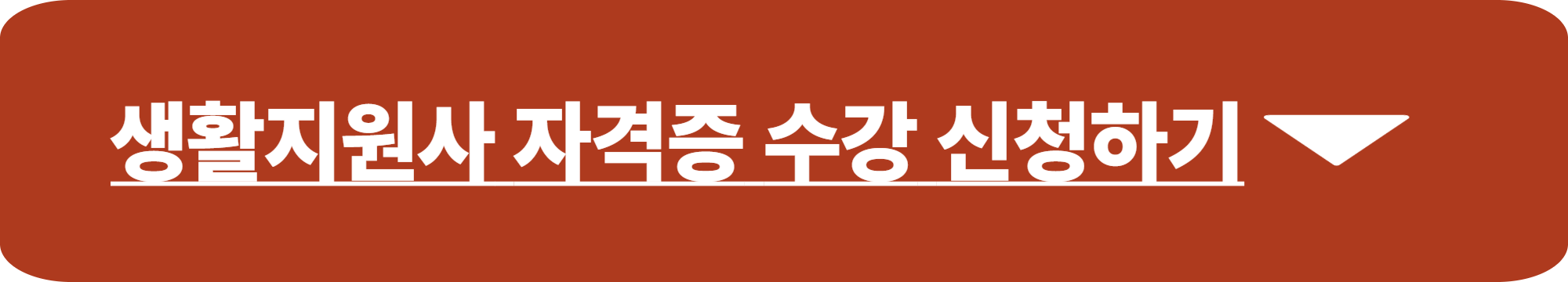 생활지원사