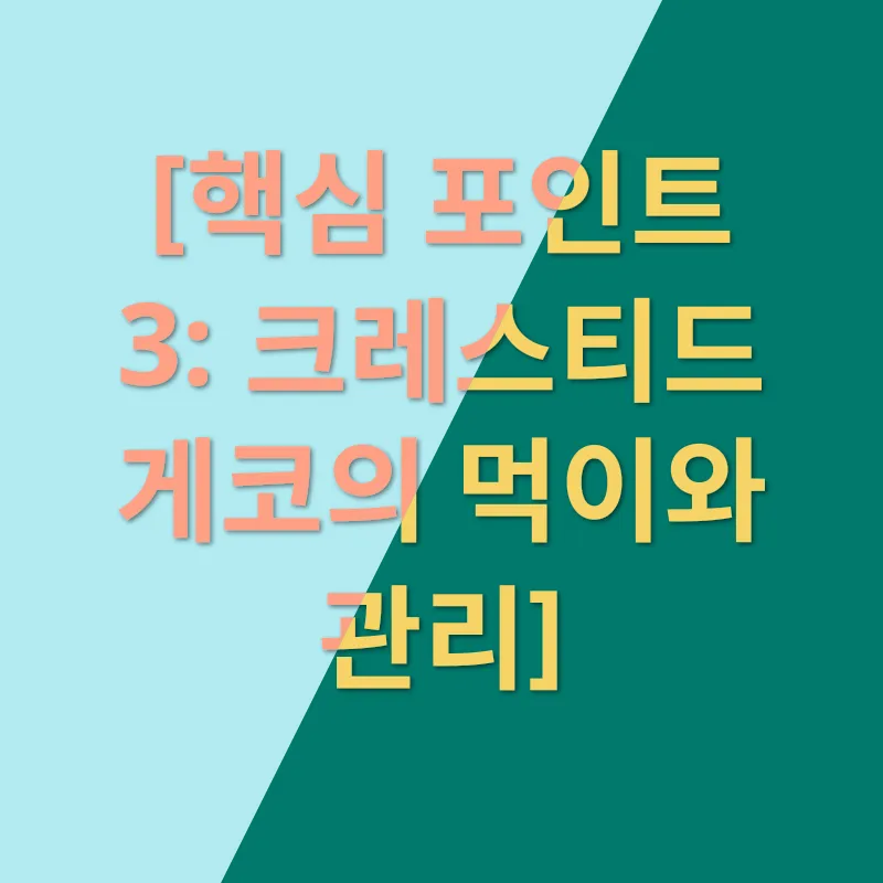 크레스티드 게코 사육_3