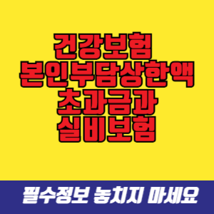 본인부담상한액 초과금과 실비보험