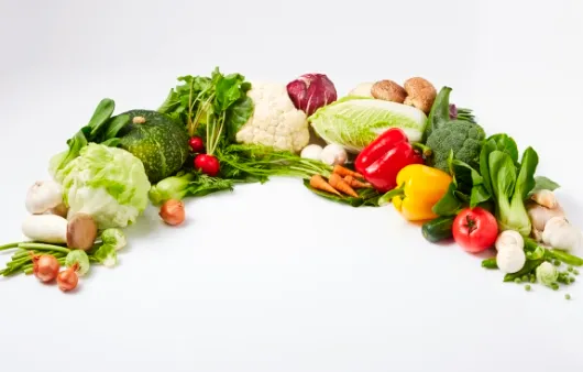 종합소득세 환급금 조회