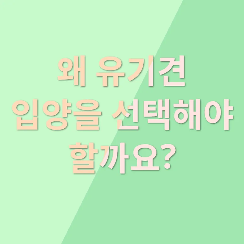 유기견 입양_1