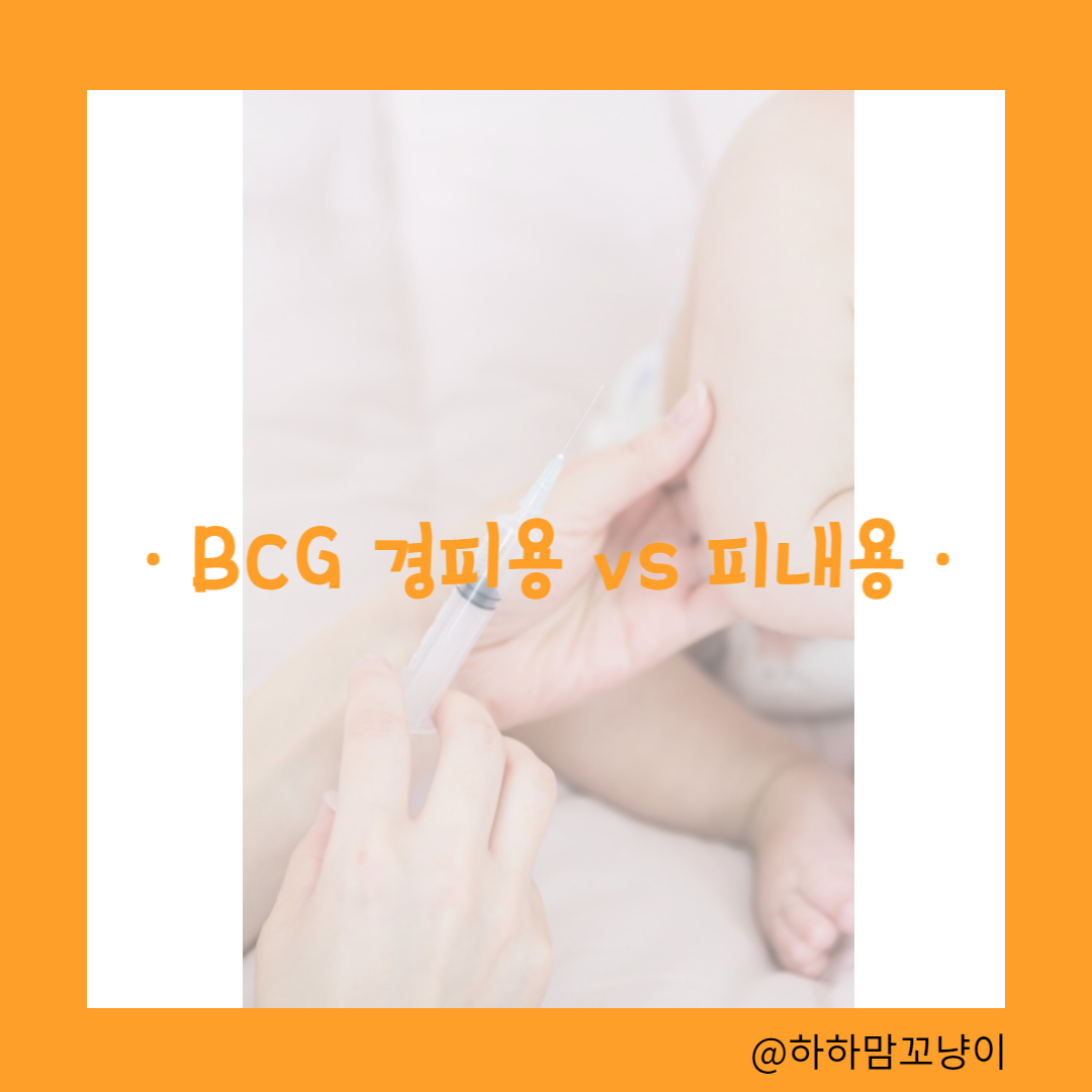 BCG 예방접종