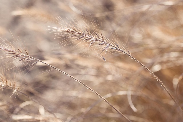 캘리그라피 공방 창업, 수익과 리스크