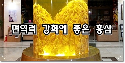 면역력