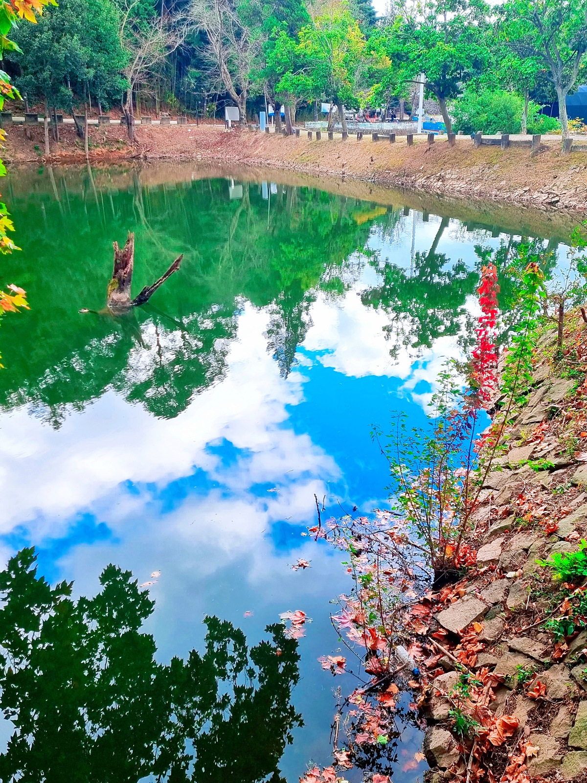 진주 가볼만한곳 진양호 공원: 진경양지 카페&amp;#44; 물빛갤러리&amp;#44; 반영이 예쁜 호수 둘레길