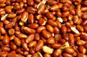 땅콩 효능 및 영양성분&amp;#44; 부작용