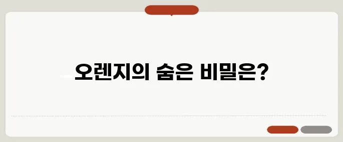 오렌지 효능 면역력과 피부건강 도움