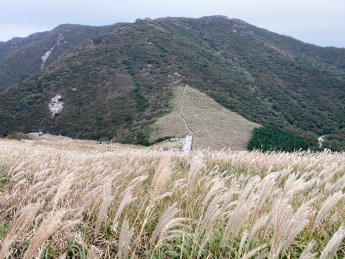 간월재-억새평원