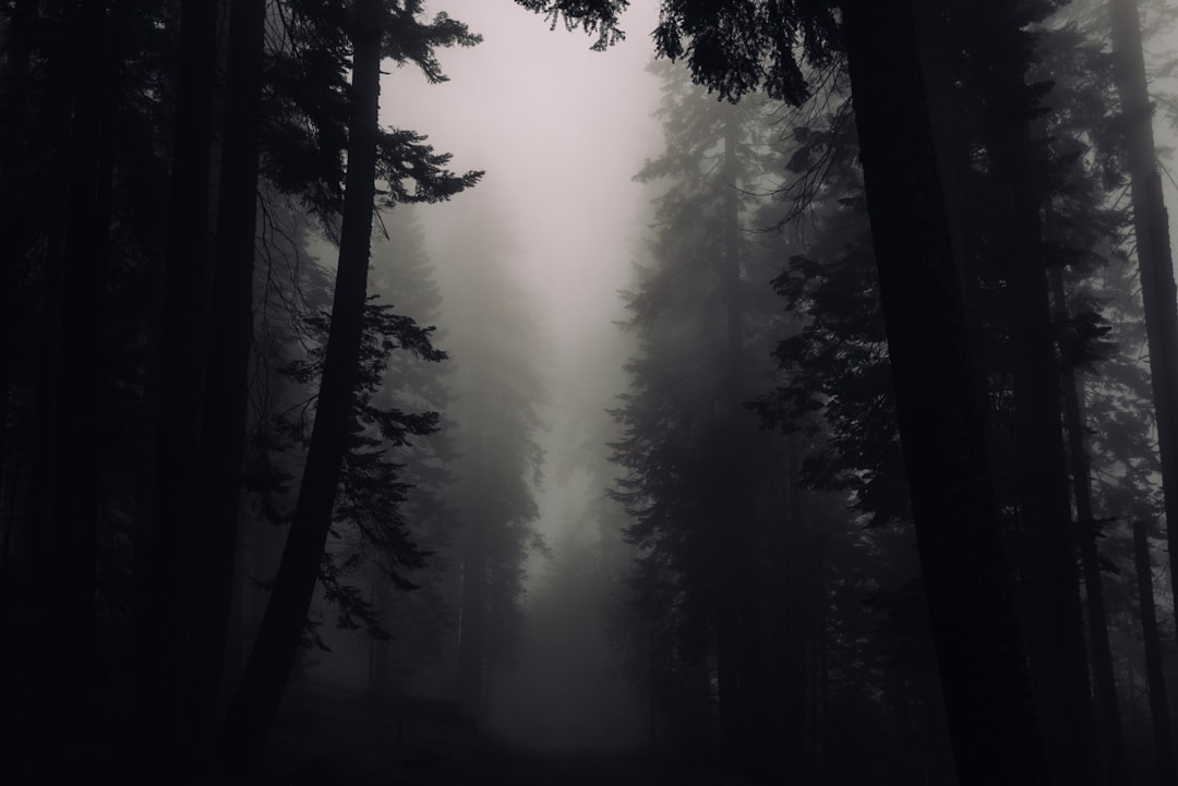 Mystery