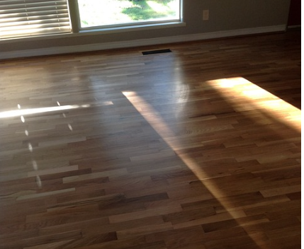 인기 있는 시골살이 (리모델링, 귀촌라이프, 자급자족)