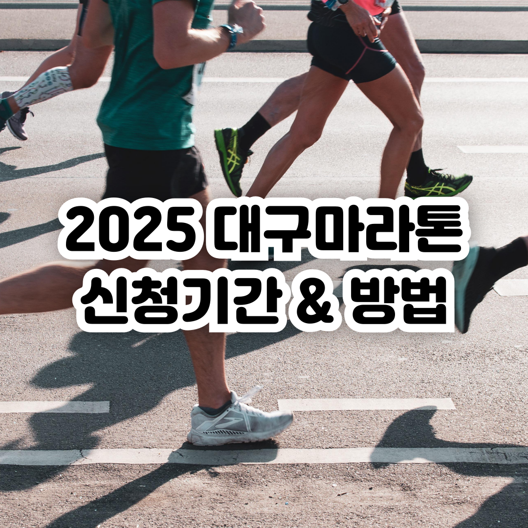 2025-대구마라톤대회
